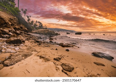 Laguna Beach ocean shoreline with palm trees at Treasure Island Park, Orange County California USA - Powered by Shutterstock