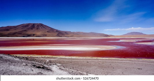 Laguna Colorada