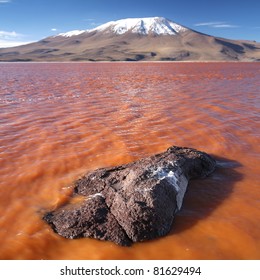 Laguna Colorada