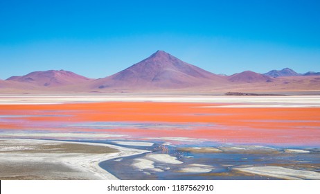 Laguna Colorada In Bolivia