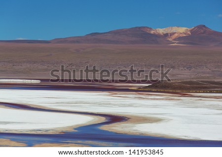 laguna colorada bolivia stock photo edit now 141953845 shutterstock