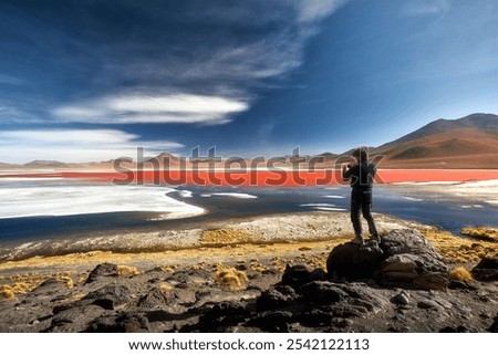 Image, Stock Photo Midnight mood at the polar sea, beach hiker