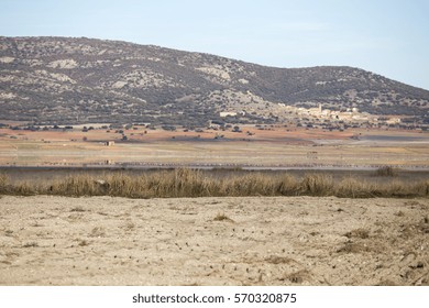 The Laguna de Gallocanta is one of the most important stopover sites for migrating common cranes in Spain, Aragon Spain