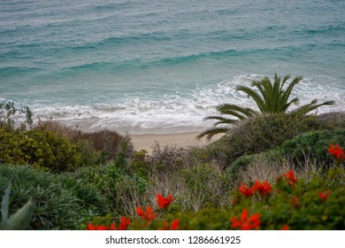 Laguna Niguel Beach