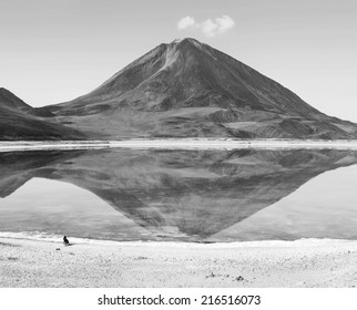Laguna Verde is a salt lake at the foot of the volcanos Licancabur and Juriques - Eduardo Avaroa Andean Fauna National Reserve, Bolivia (black and white)