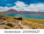 Lagunas Altiplanicas Miscanti y Minques lakes in Atacama desert in Chile. Altiplano high plains and salt flats of South America landscape. Salar lakes and volcano in Atacama dry region