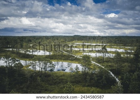 Lahemaa National Park view point. Wooden tower over swamp. Nature observatory. Nature landscape of Estonia. Aerial view of wetland.	