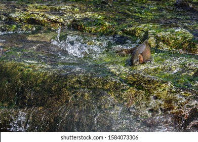 Lake lahontan Images, Stock Photos & Vectors | Shutterstock
