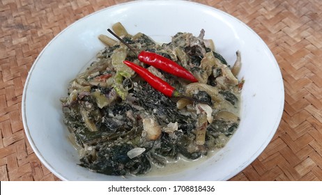 Laing Bicol Natong Dish Taro Plant Stock Photo 1708818436 | Shutterstock