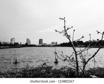 The lake