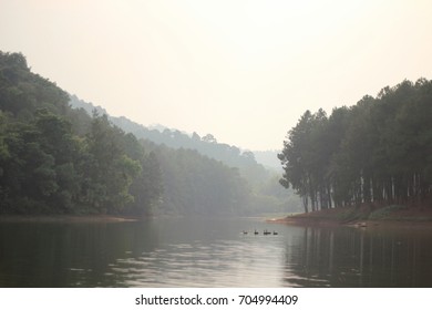 The Lake