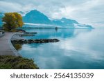 Lake above Montreux in Switzerland, Lausanne Region.