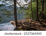 Lake after a dense forest. Europe. Czech Republic. Germany. Devil