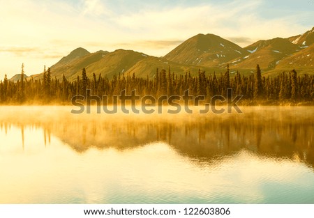 Similar – Image, Stock Photo fog Nature Landscape