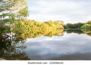 Lake Alice Sunset Afternoon - Gainesville, Fl