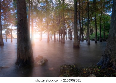 The Lake Allatoona Water Levels Soar