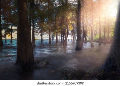 The Lake Allatoona Water Levels Soar