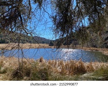 Lake Along Hiking Trail San Deigo