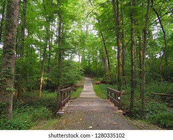 Lake Anne, Reston, Virginia