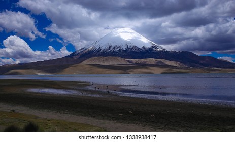 
Chungará Lake, Arica Chile