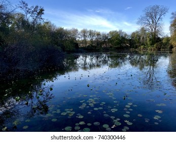 Lake in autumn - Shutterstock ID 740300446
