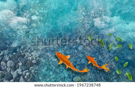 Lake background with fish koi. Top view underwater. High resolution for 3d floor print
