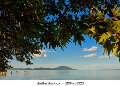 Lake Balaton Beach With Badacsony Mountain In The Background Framed By Foliage