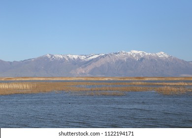 Lake At Bear River Migratory Bird Refuge, Utah