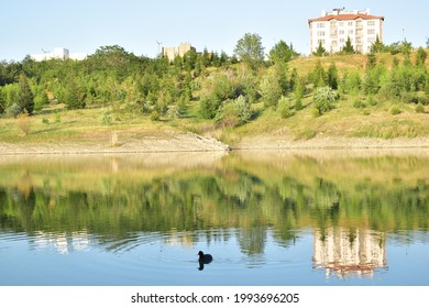 Lake Bilkent That Takes Place In Bilkent University, Turkey