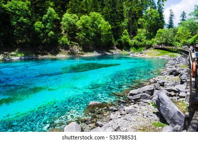 Lake with blue water surrounded by green forest. Colorful lake, Jiuzhaigou, China.