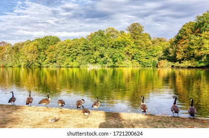 Lake At Bois De Vincennes