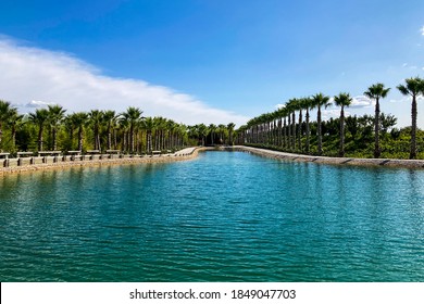 Lake at Bacalhôa Buddha Eden, asian style garden, Quinta dos Loridos, Bombarral, Portugal, September 05, 2020