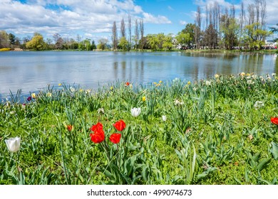 Lake Burley Griffin At  Canberra Floriade Festival