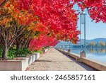 Lake Burley Griffin is Canberra