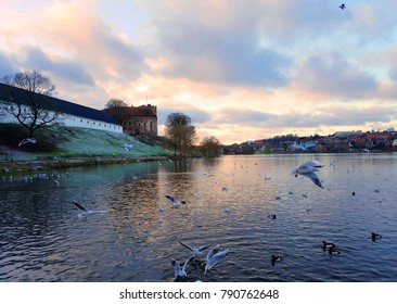 Lake By A Castle In Denmark In Winter