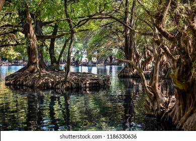 Lake Camecuaro In Michoacan Mexico