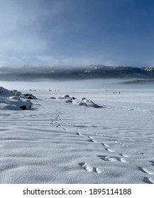 Lake Cascade, Idaho January 2021