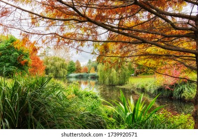 Lake At Centennial Park In Sydney