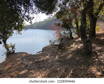 Lake Chabot,  Castro Valley, California, USA