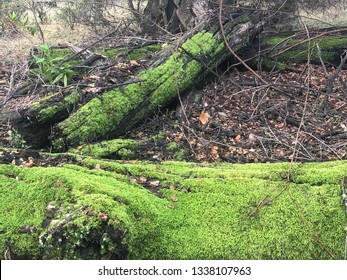 Lake Chabot Castro Valley California USA