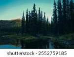 Lake Clark National Park, Alaska. A beaver dam or beaver impoundment is a dam built by beavers to create a pond. High quality photo