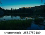 Lake Clark National Park, Alaska. A beaver dam or beaver impoundment is a dam built by beavers to create a pond. High quality photo