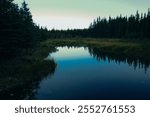 Lake Clark National Park, Alaska. A beaver dam or beaver impoundment is a dam built by beavers to create a pond. High quality photo