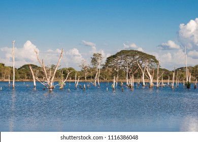 Lake In Montería Córdoba, Colombia