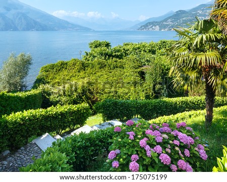 Similar – Image, Stock Photo Palm trees, Italy, summer,