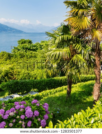 Similar – Image, Stock Photo Palm trees, Italy, summer,