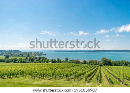 The Lake Constance region is a well-known growing area for fruit and wine. The climate at Bodensee is considered to be Mediterranean.