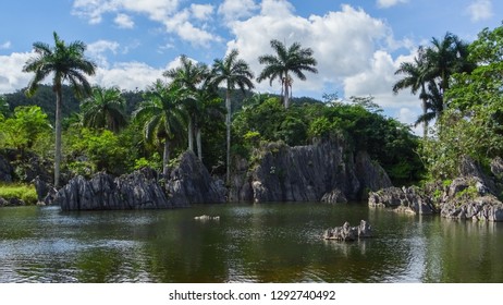 Lake Of Viñales. Cuba