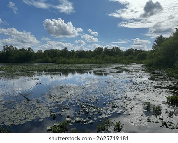 Lake Cunningham in Greer, SC