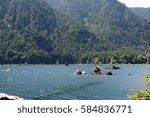 Lake Cushman is located on the east side of the Olympic Peninsula near Hoodsport, WA, USA.